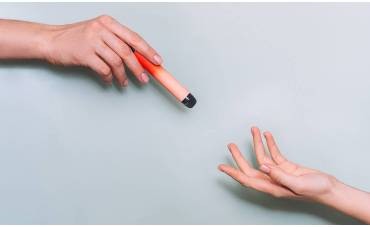 ¿Cómo elegir un buen vaporizador? 