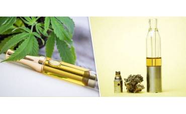 La Guía Definitiva sobre Vaporizadores de Extractos: Innovación y Oportunidades para Mayoristas